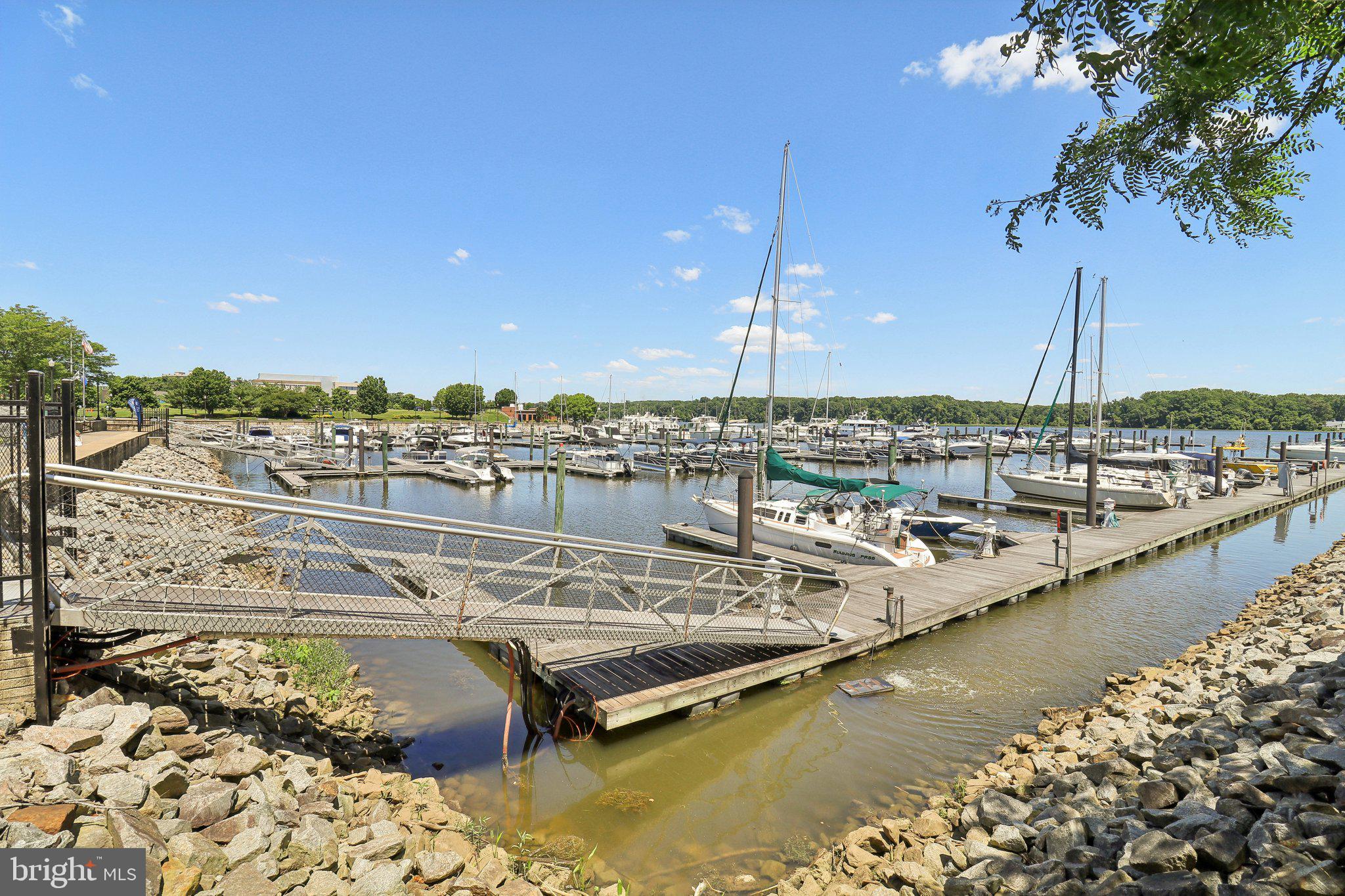 BELMONT TOWN CENTER - Residential