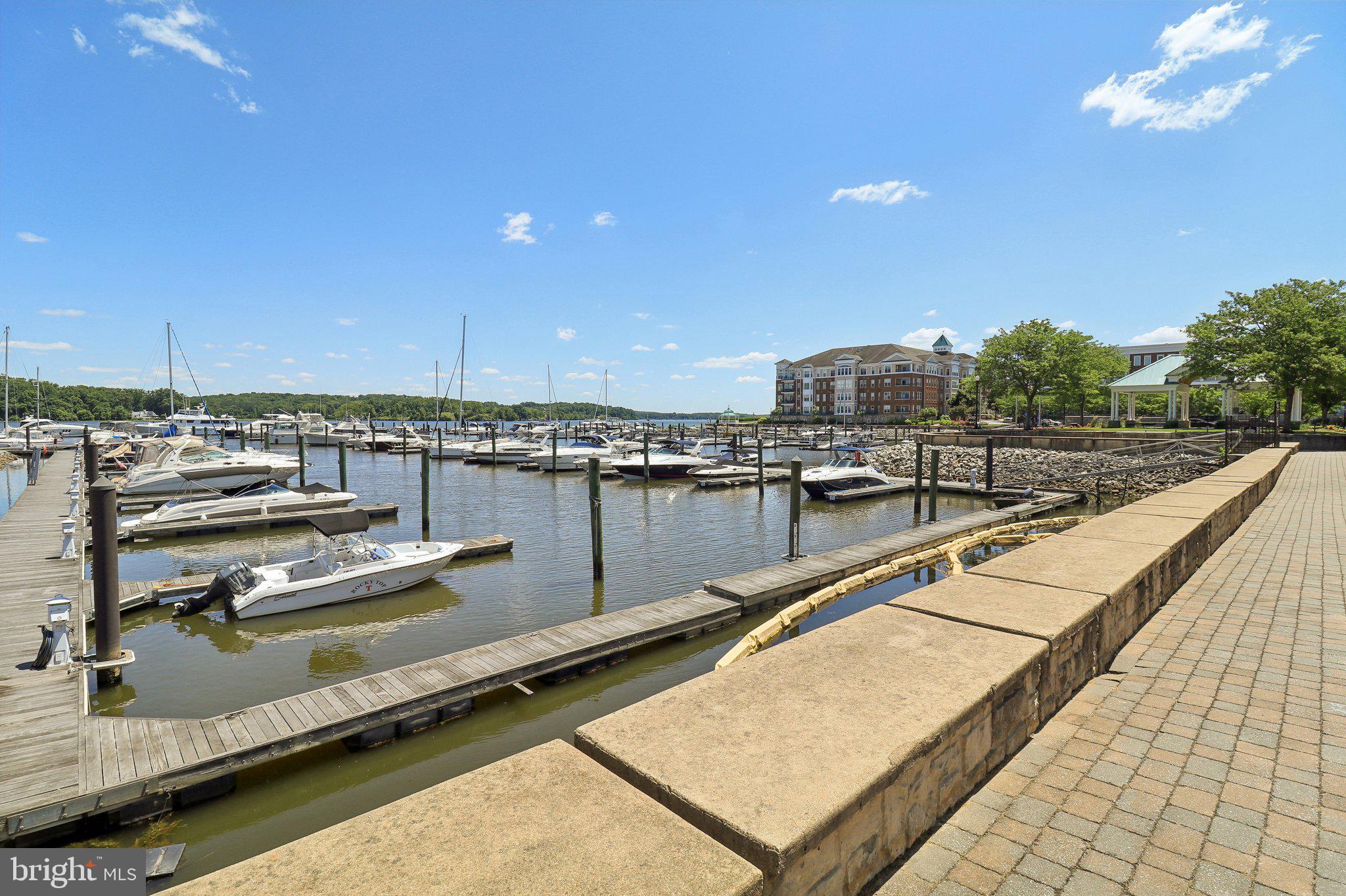 BELMONT TOWN CENTER - Residential