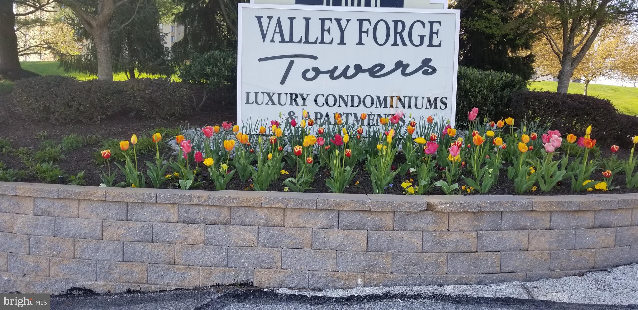 This is a garage listing behind the 1000 Building of the Valley Forge Towers. One of the top locations. It is the 3rd garage away from the building and very close to the entrance.