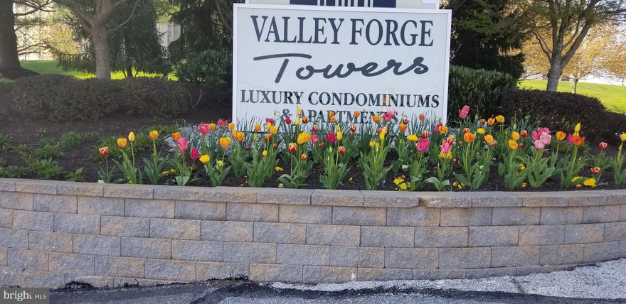 This is a garage listing behind the 1000 Building of the Valley Forge Towers. One of the top locations. It is the 3rd garage away from the building and very close to the entrance.