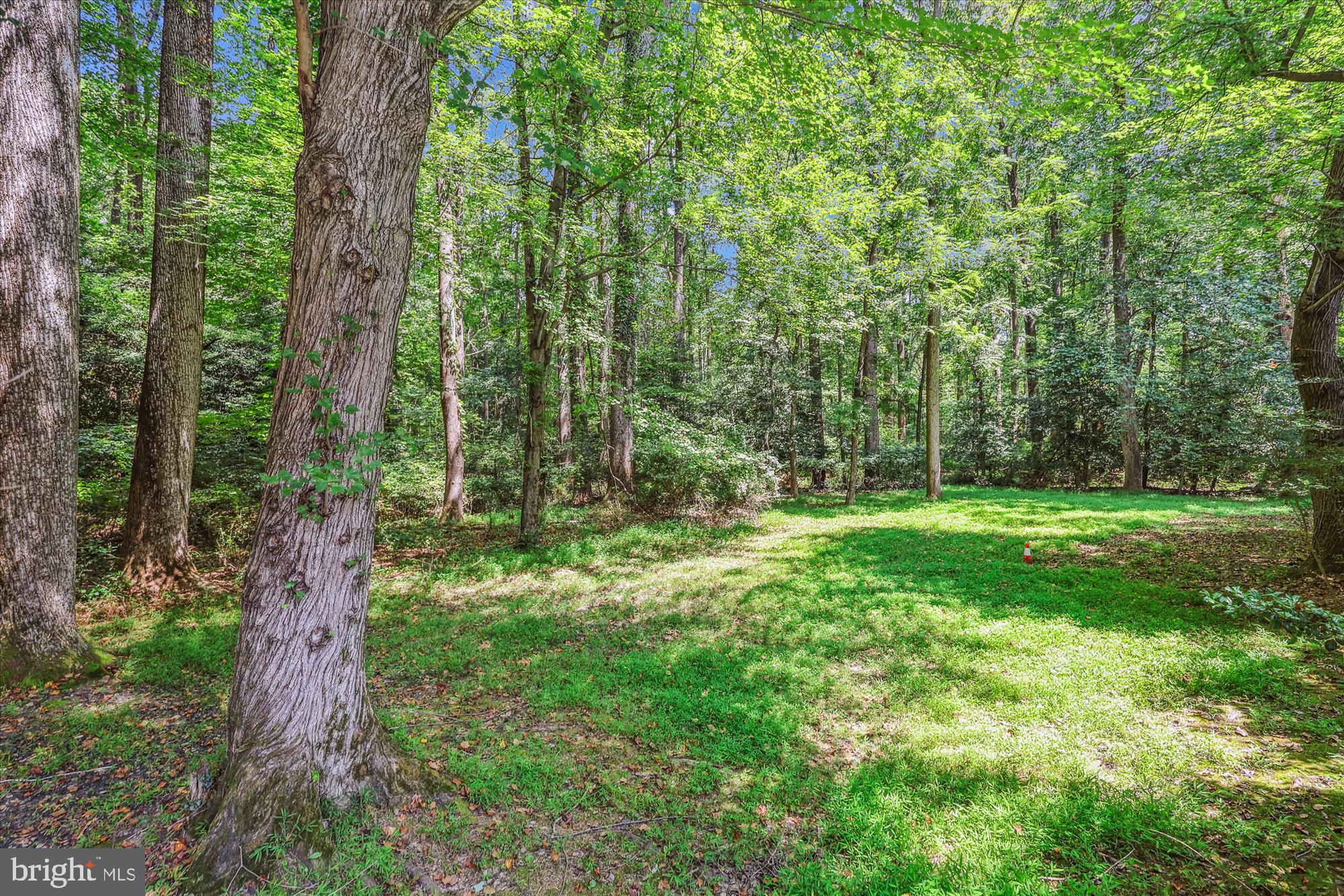 FOLKSTONE - Residential