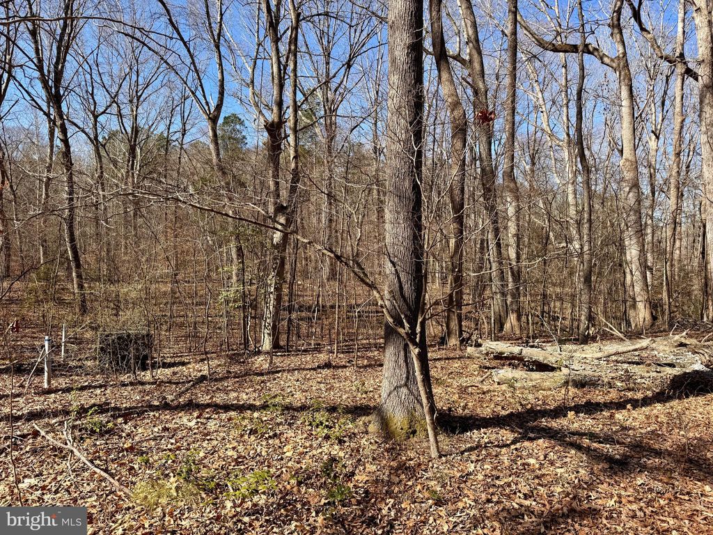 Photo of 13 Glenwood Lane, IRVINGTON, VA 22480 (MLS # VALV2000898)