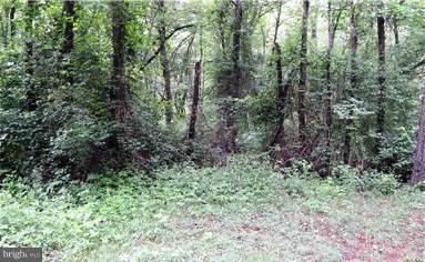 NONE AVAILABLE - Land