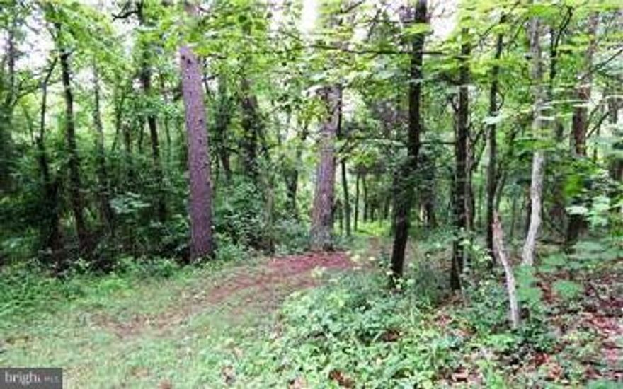 3.79  Acres of private and wooded land convenient to downtown Berkeley Springs. No restrictions and not part of a subdivision. Owner will consider owner financing with favorable terms and a minimal down payment.