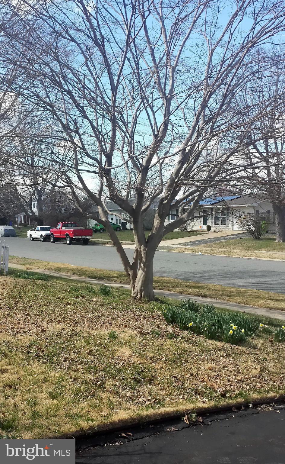 EDGE MEAD - Residential Lease