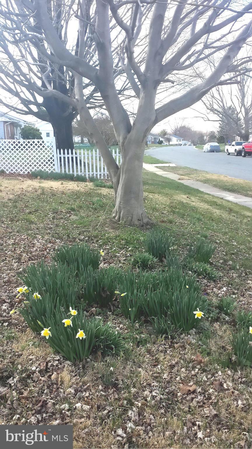 EDGE MEAD - Residential Lease