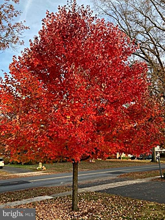 ALLENDALE - Residential