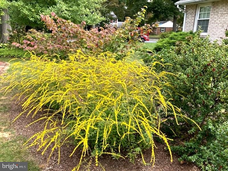 ALLENDALE - Residential