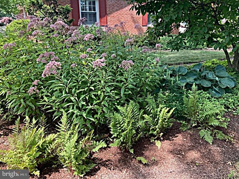 ALLENDALE - Residential