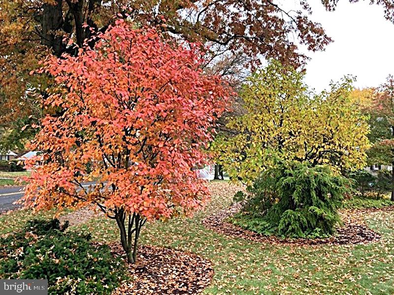 ALLENDALE - Residential