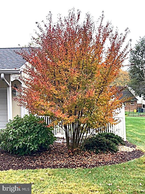 ALLENDALE - Residential