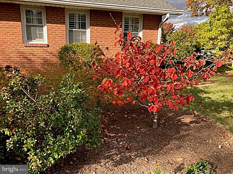 ALLENDALE - Residential