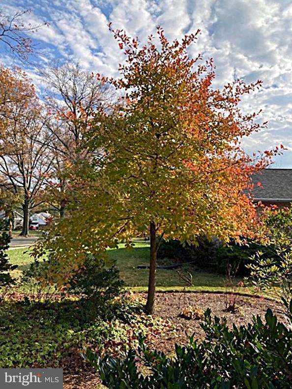 ALLENDALE - Residential