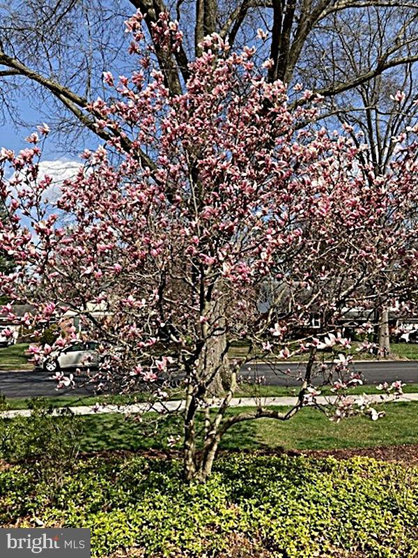 ALLENDALE - Residential