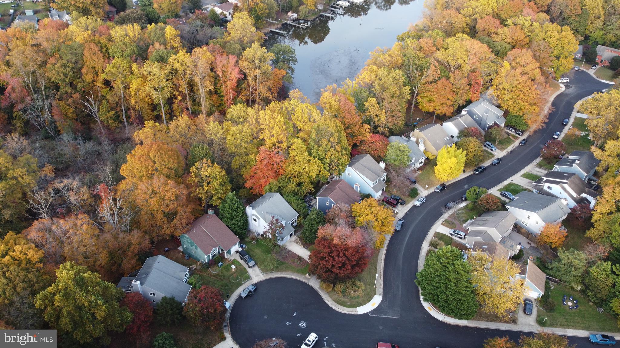 GEORGETOWN GROVE - Residential