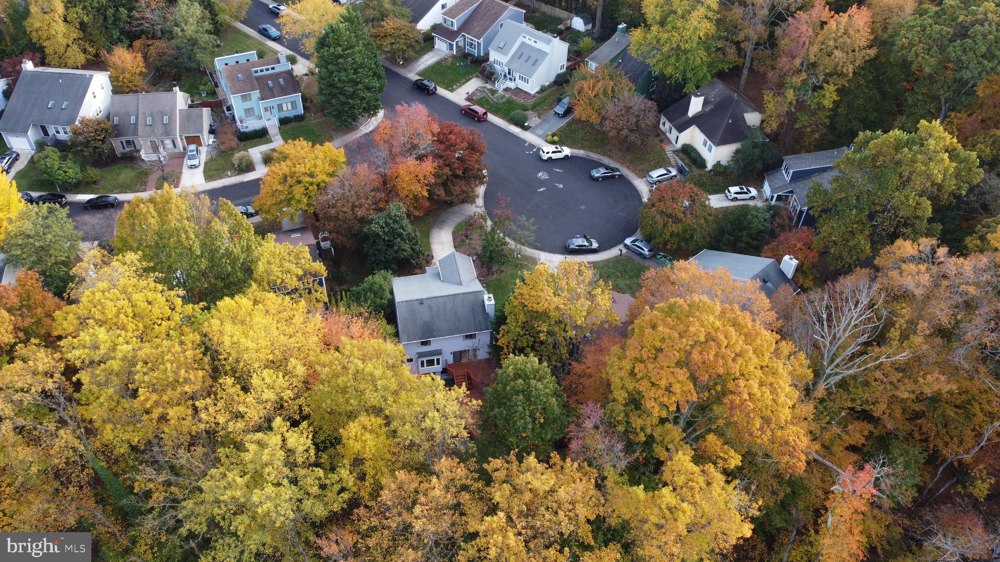 GEORGETOWN GROVE - Residential