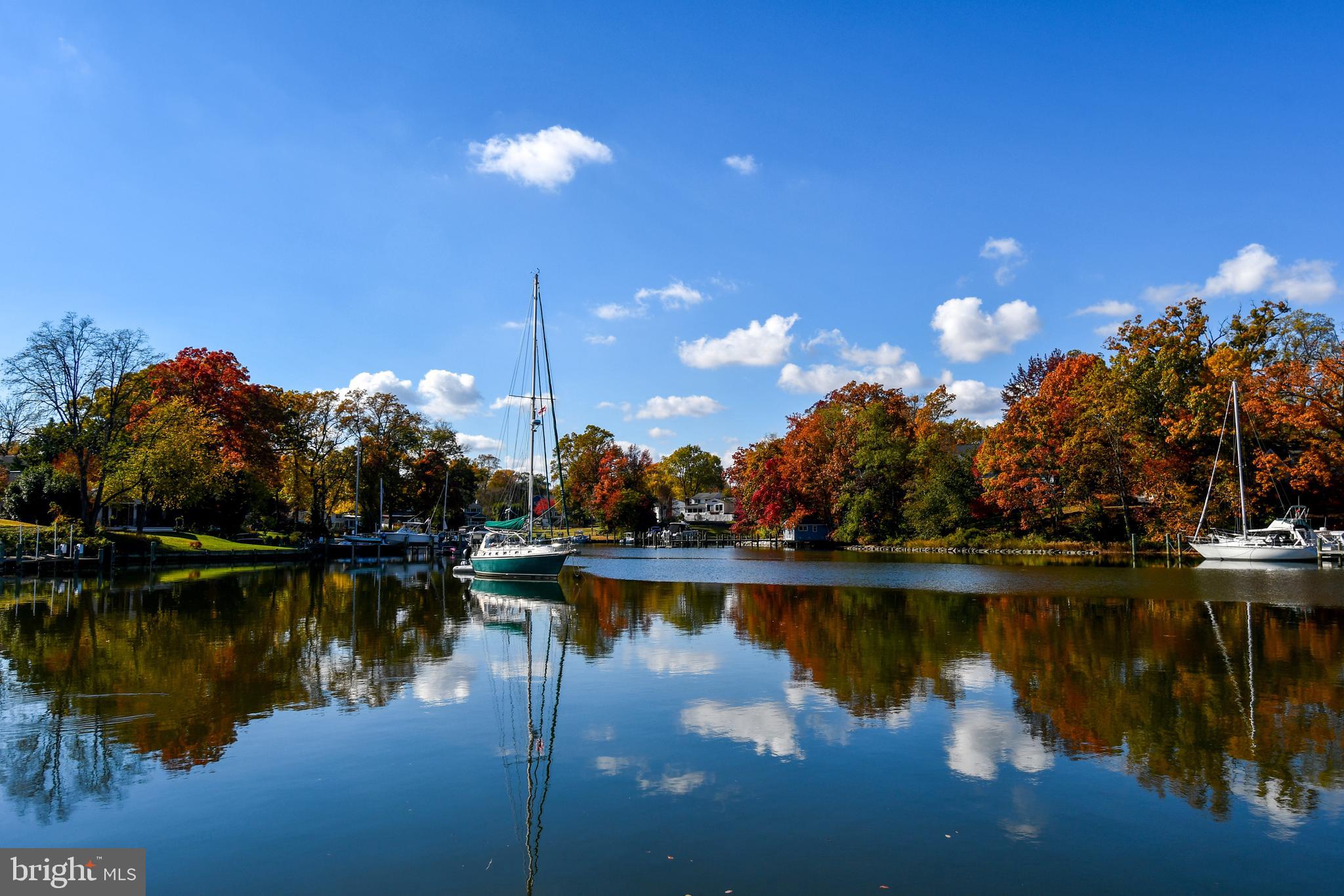 GEORGETOWN GROVE - Residential
