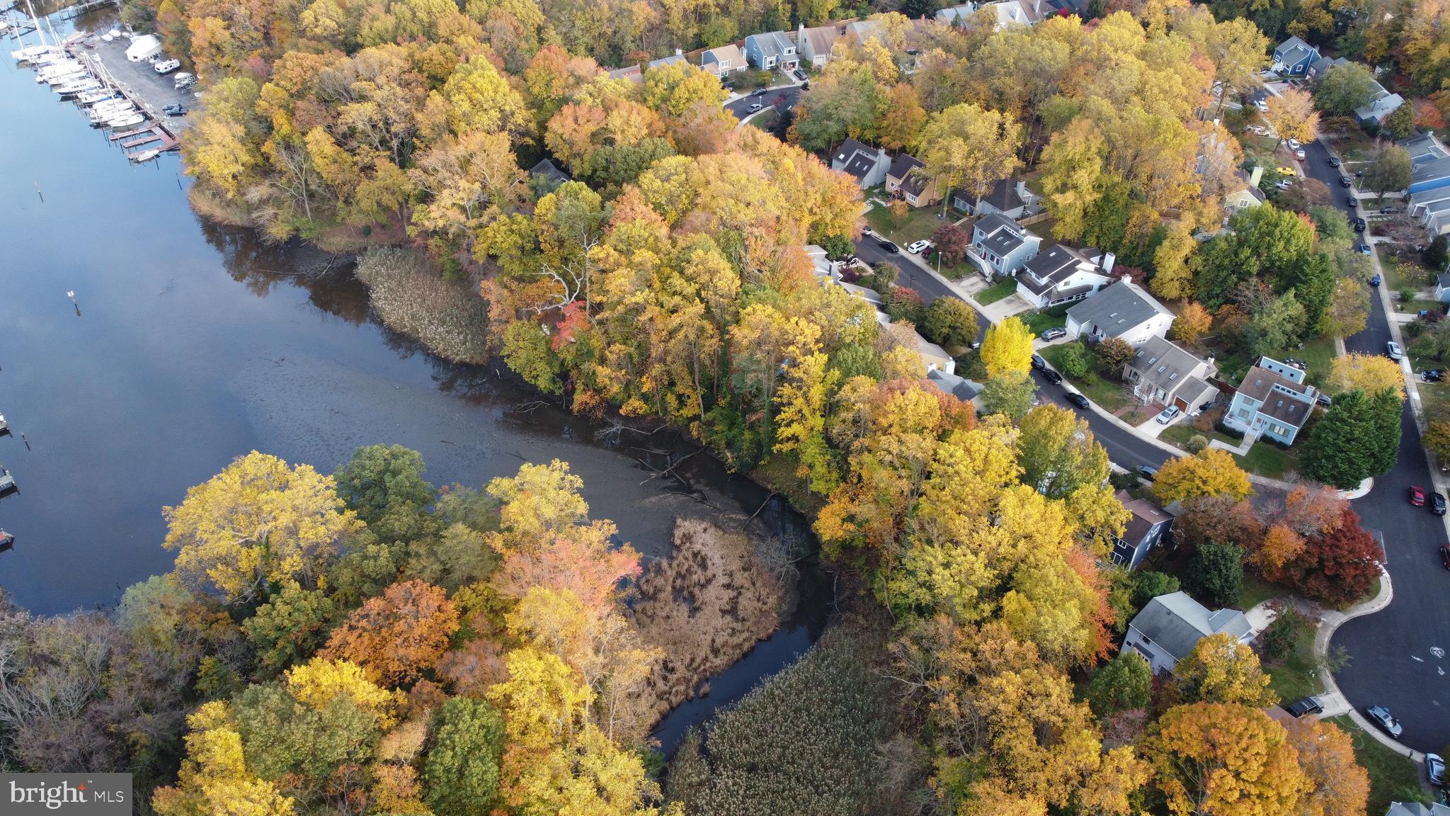 GEORGETOWN GROVE - Residential