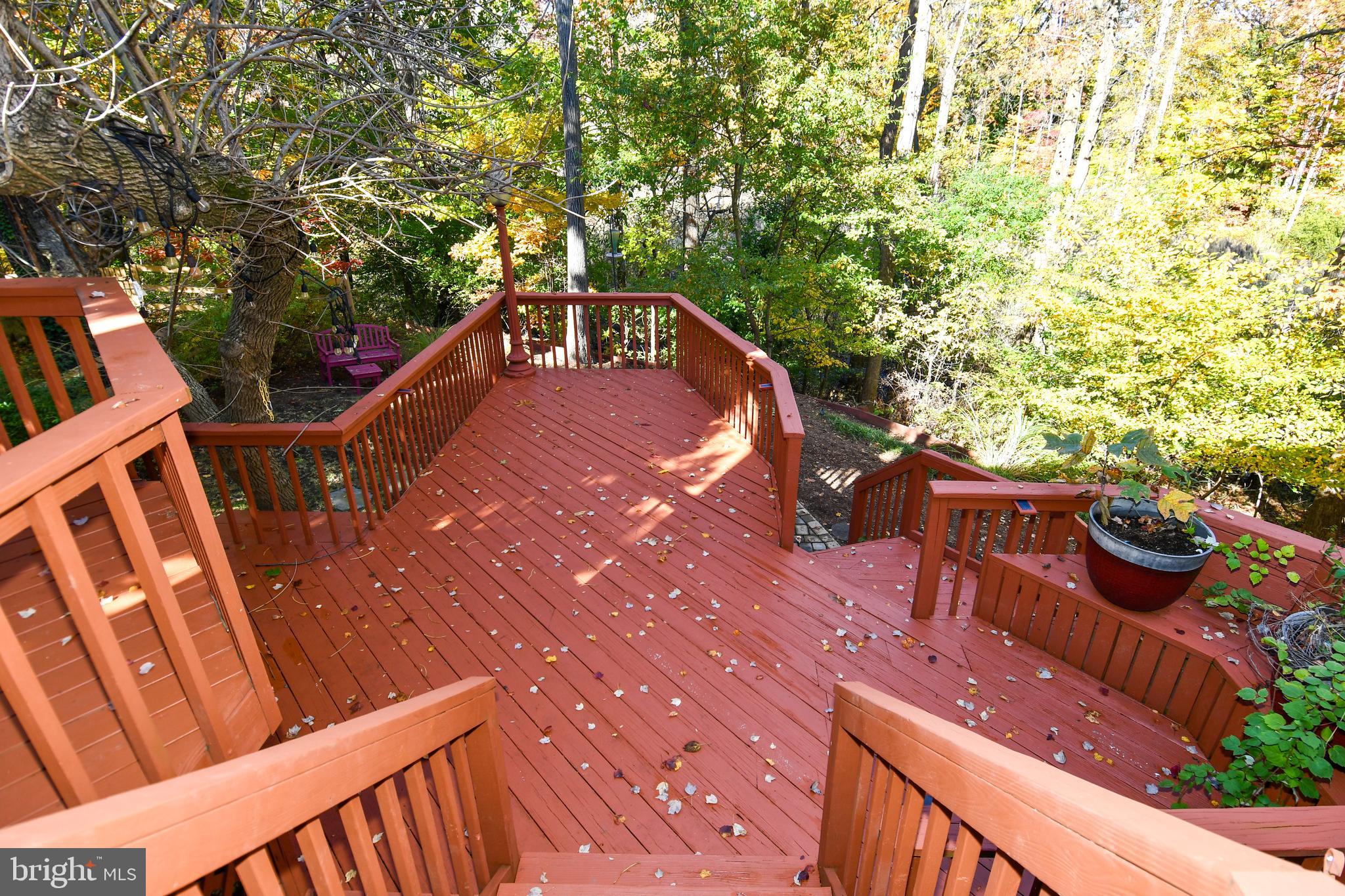 GEORGETOWN GROVE - Residential