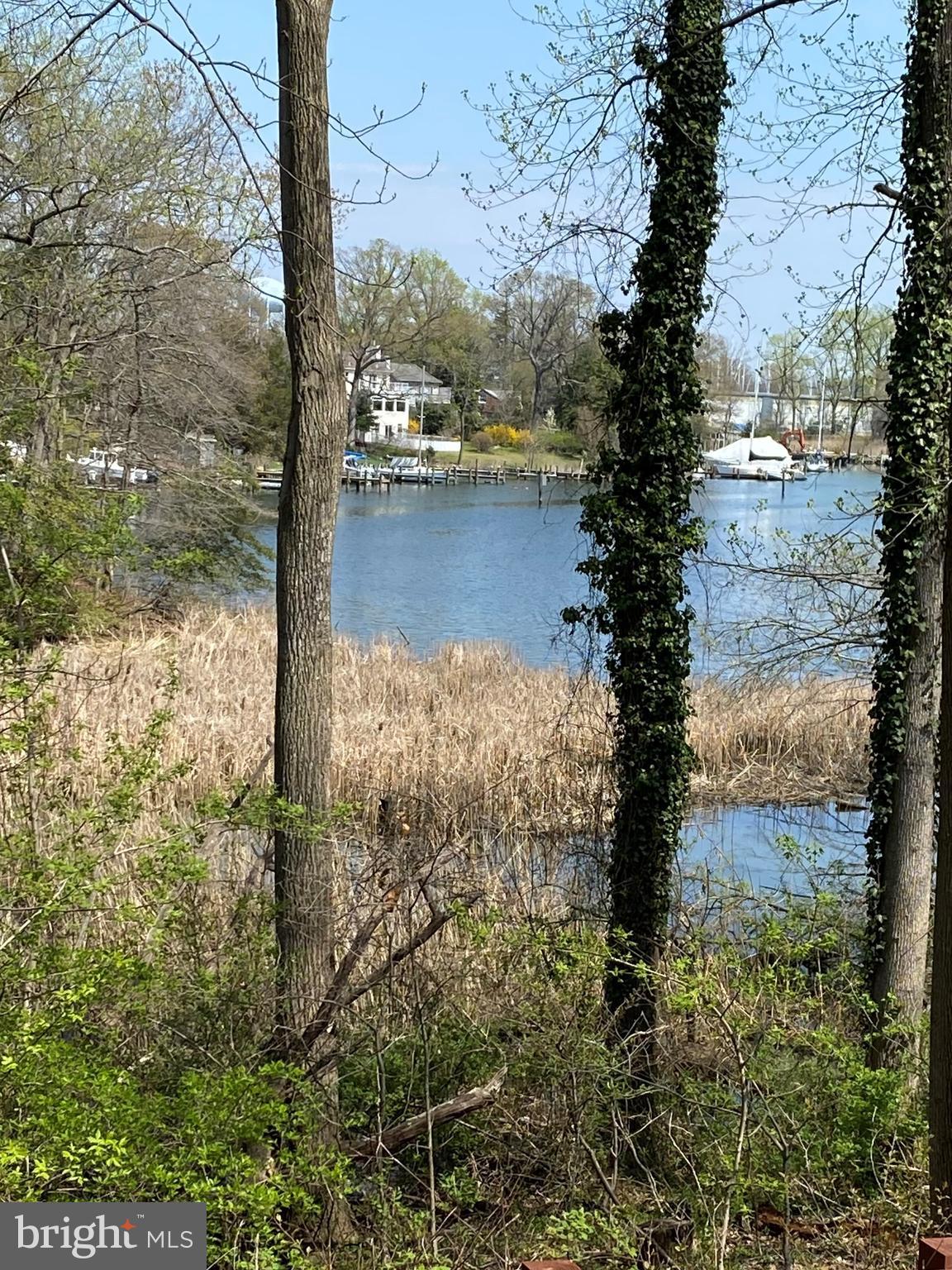 GEORGETOWN GROVE - Residential