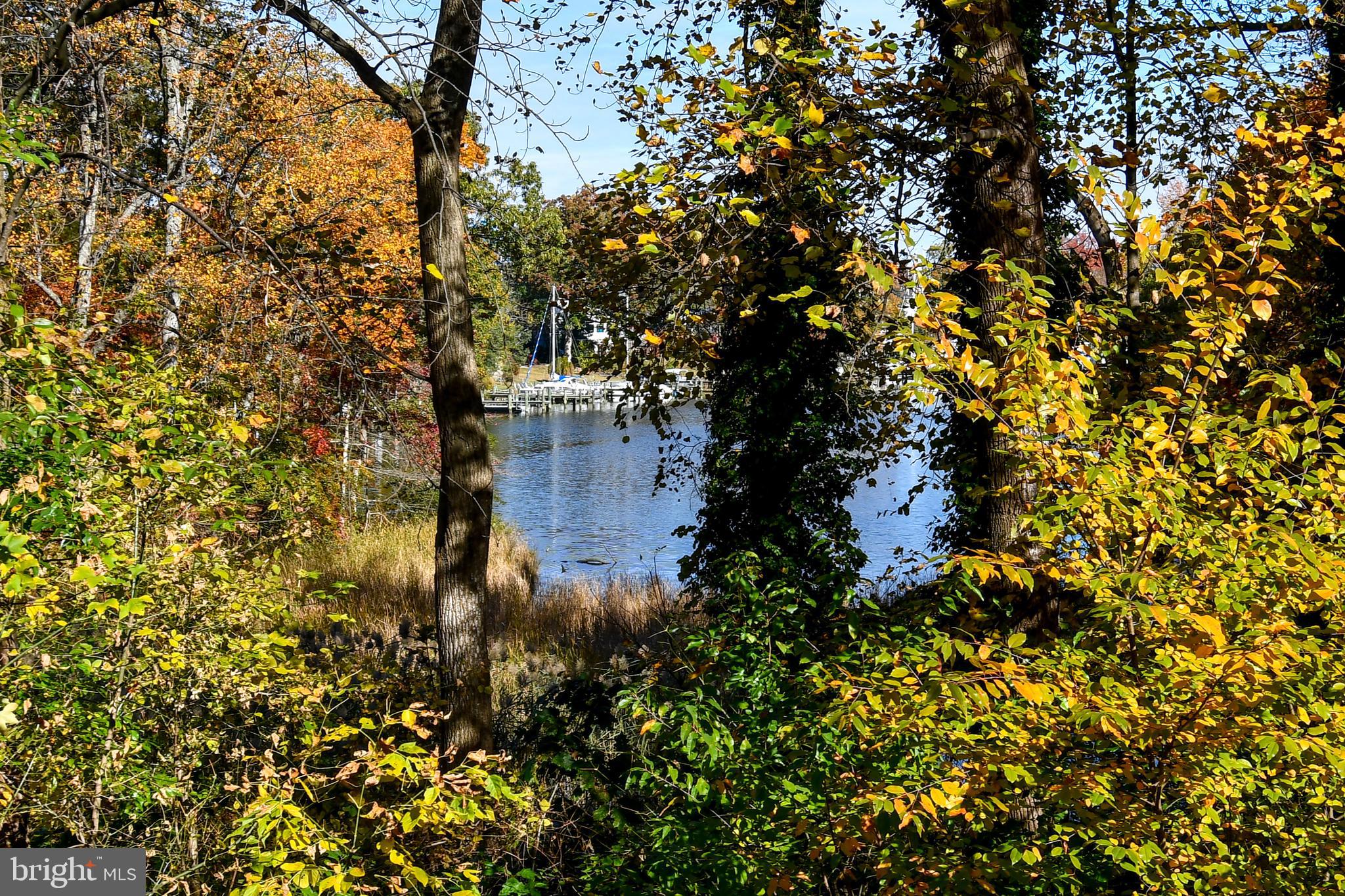 GEORGETOWN GROVE - Residential