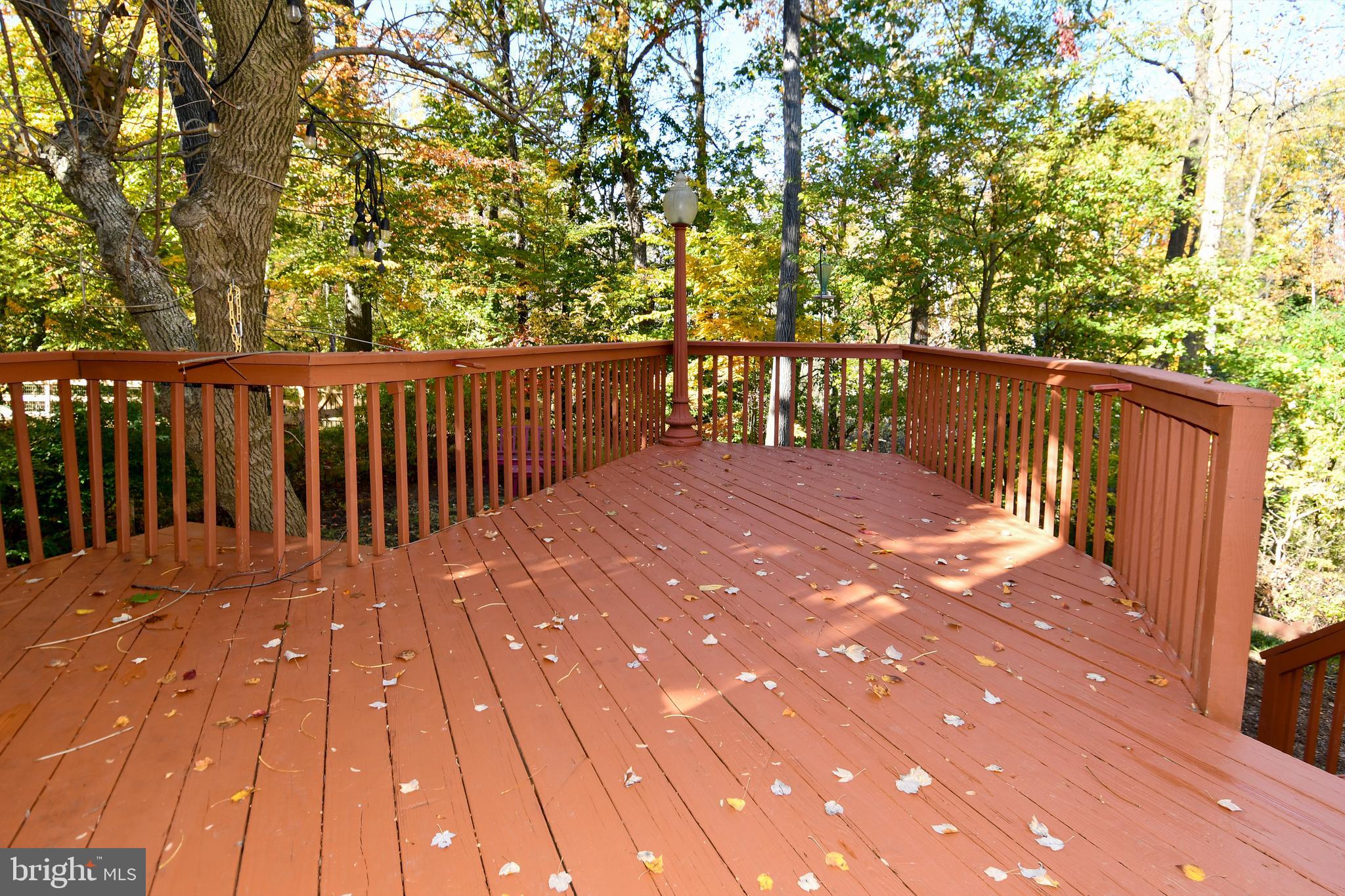 GEORGETOWN GROVE - Residential