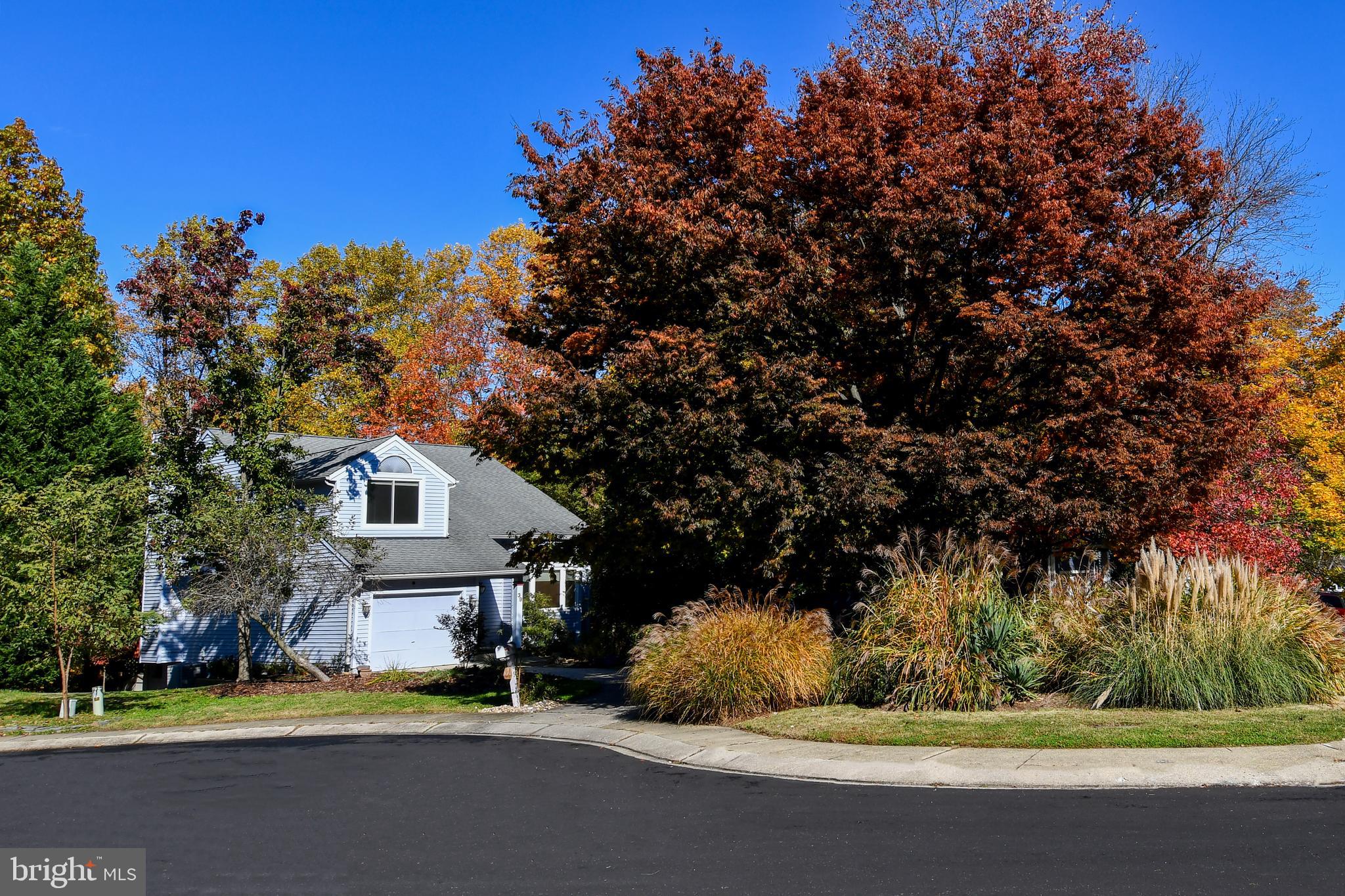 GEORGETOWN GROVE - Residential