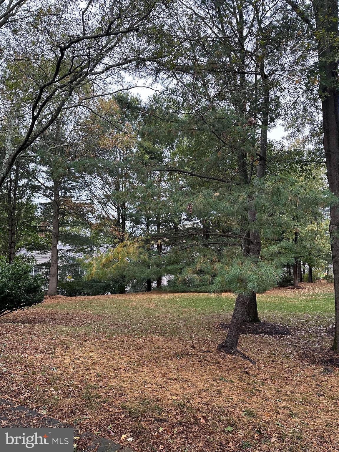 CHARING CROSS - Residential