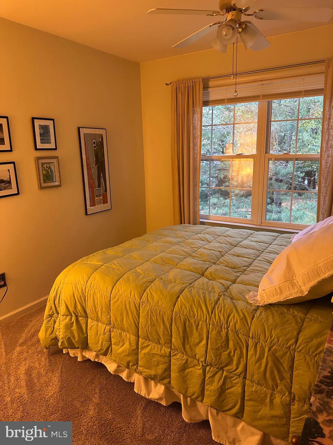 CHARING CROSS - Residential