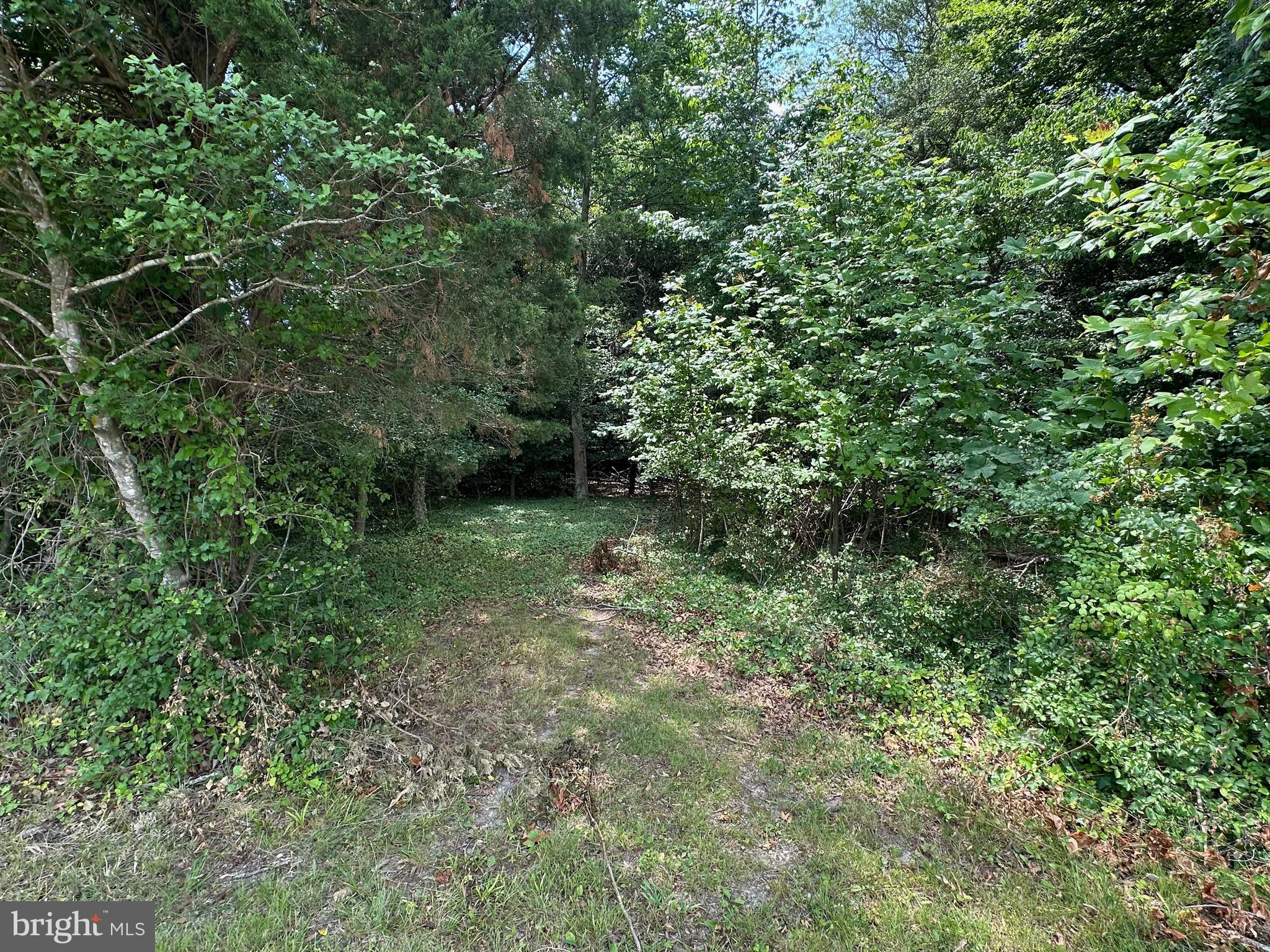 45025 NOLAN COURT
