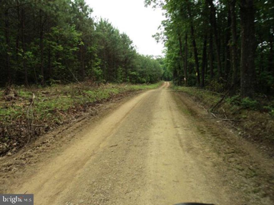 Enjoy beautiful Juniata Co outdoors! Hunting, camping, Nature at it's best, 128 wooded acres, ideal for subdivision opportunity. Awesome views! Call for your personal tour today! No Commercial Animal Operations. Owner could have up to 100 animals/Lot. Listing Agent is related to Seller.