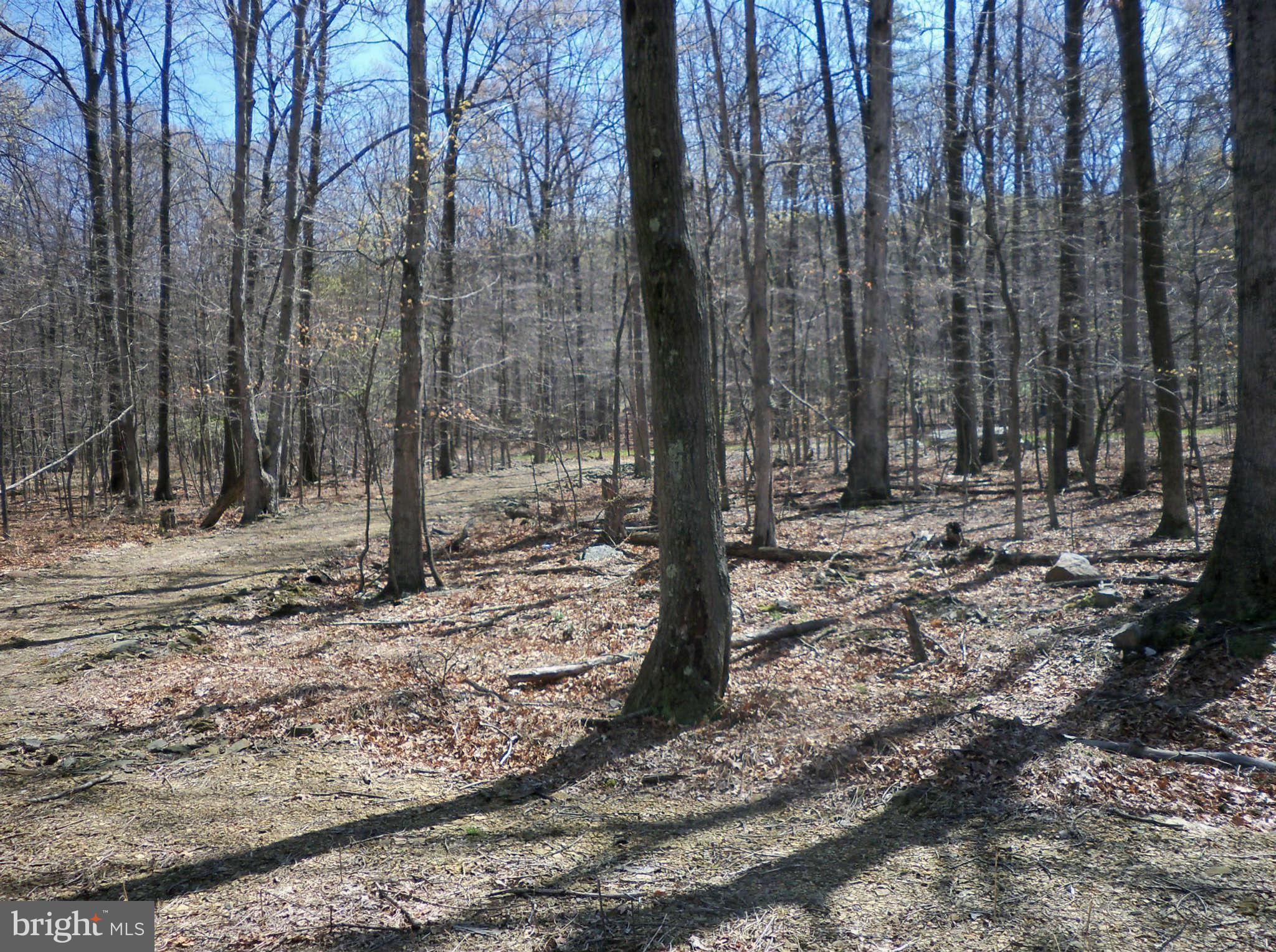 CACAPON HIGHLANDS - Land