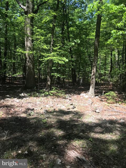 CACAPON HIGHLANDS - Land