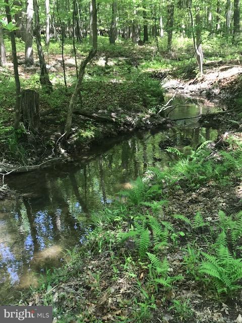 CACAPON HIGHLANDS - Land