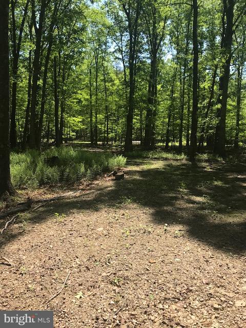 CACAPON HIGHLANDS - Land