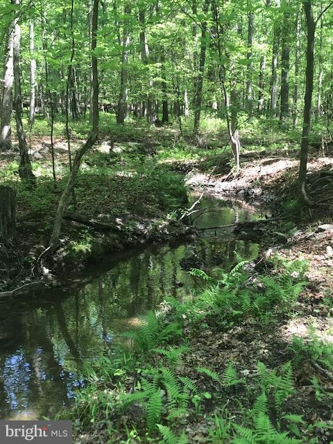 CACAPON HIGHLANDS - Land