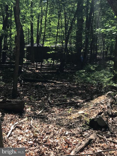 CACAPON HIGHLANDS - Land