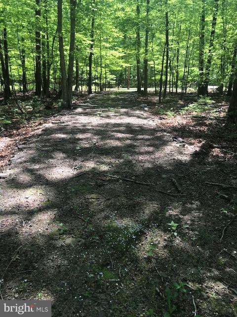 CACAPON HIGHLANDS - Land