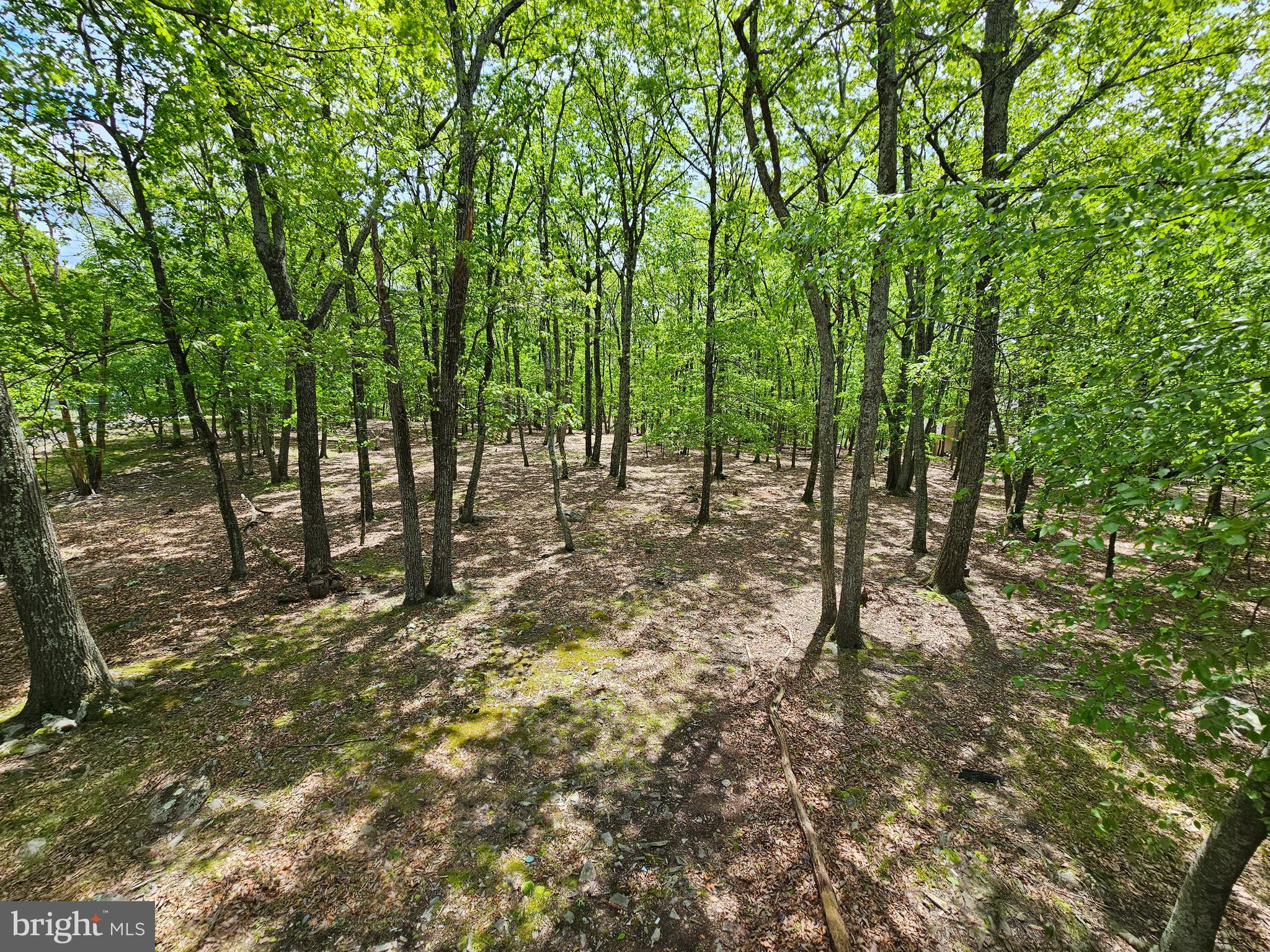 PENN ESTATES - Residential