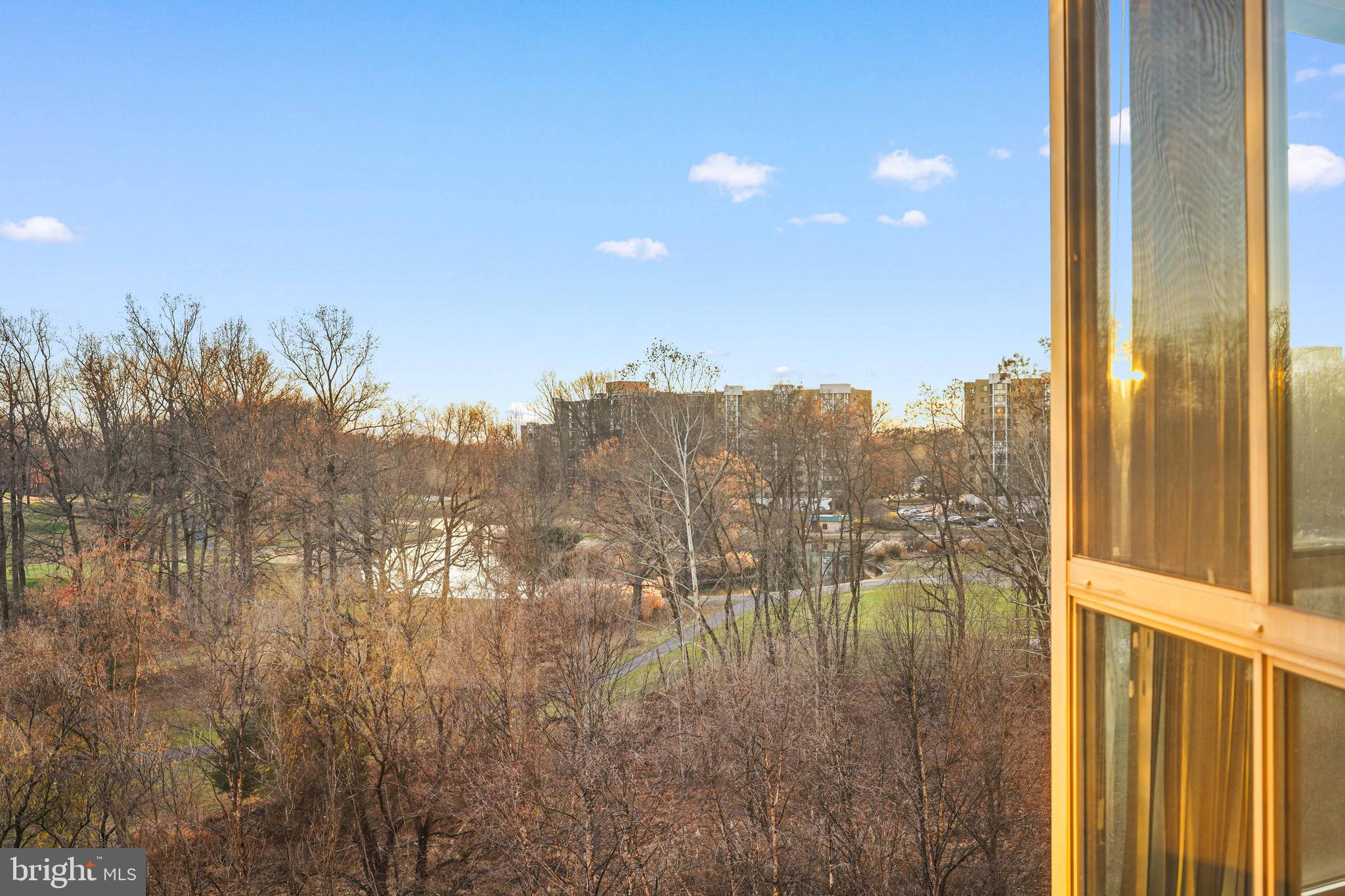 VANTAGE POINT EAST @ LEISURE WORLD - Residential