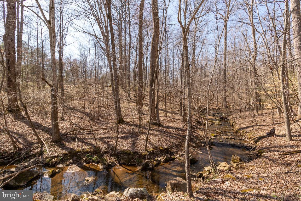 WILDWOOD FOREST - Residential