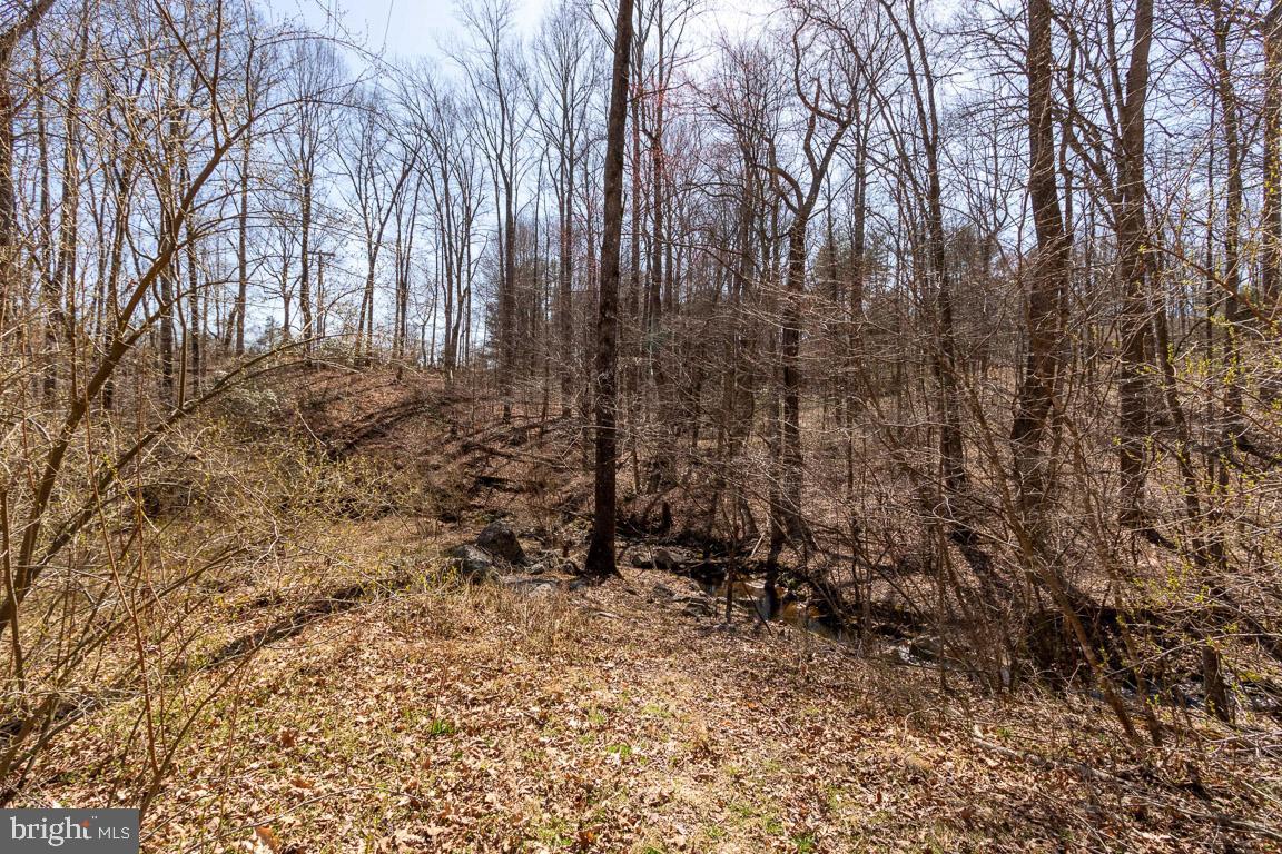 WILDWOOD FOREST - Residential