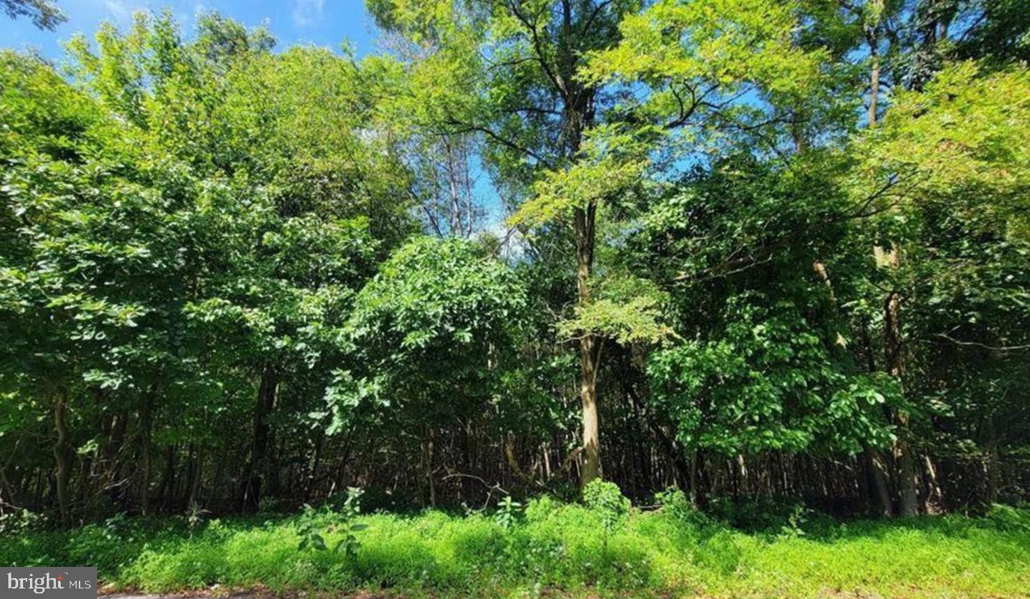 247 WHITETAIL CROSSING ROAD