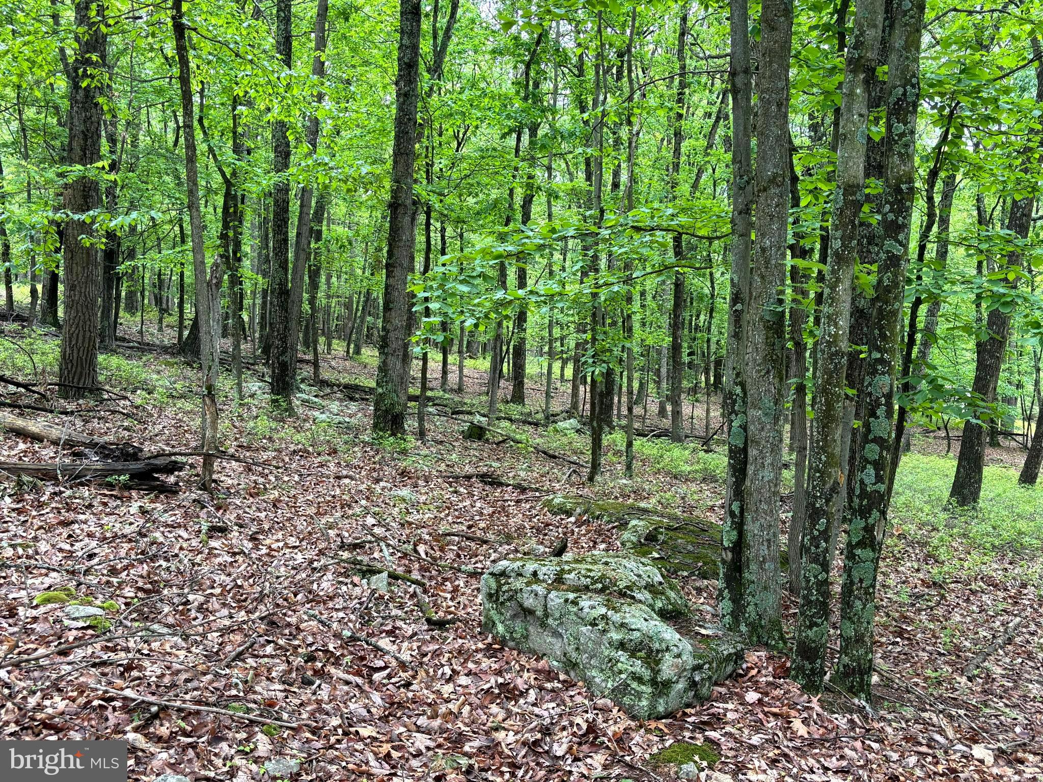 MEADOW HILLS ESTATES - Land