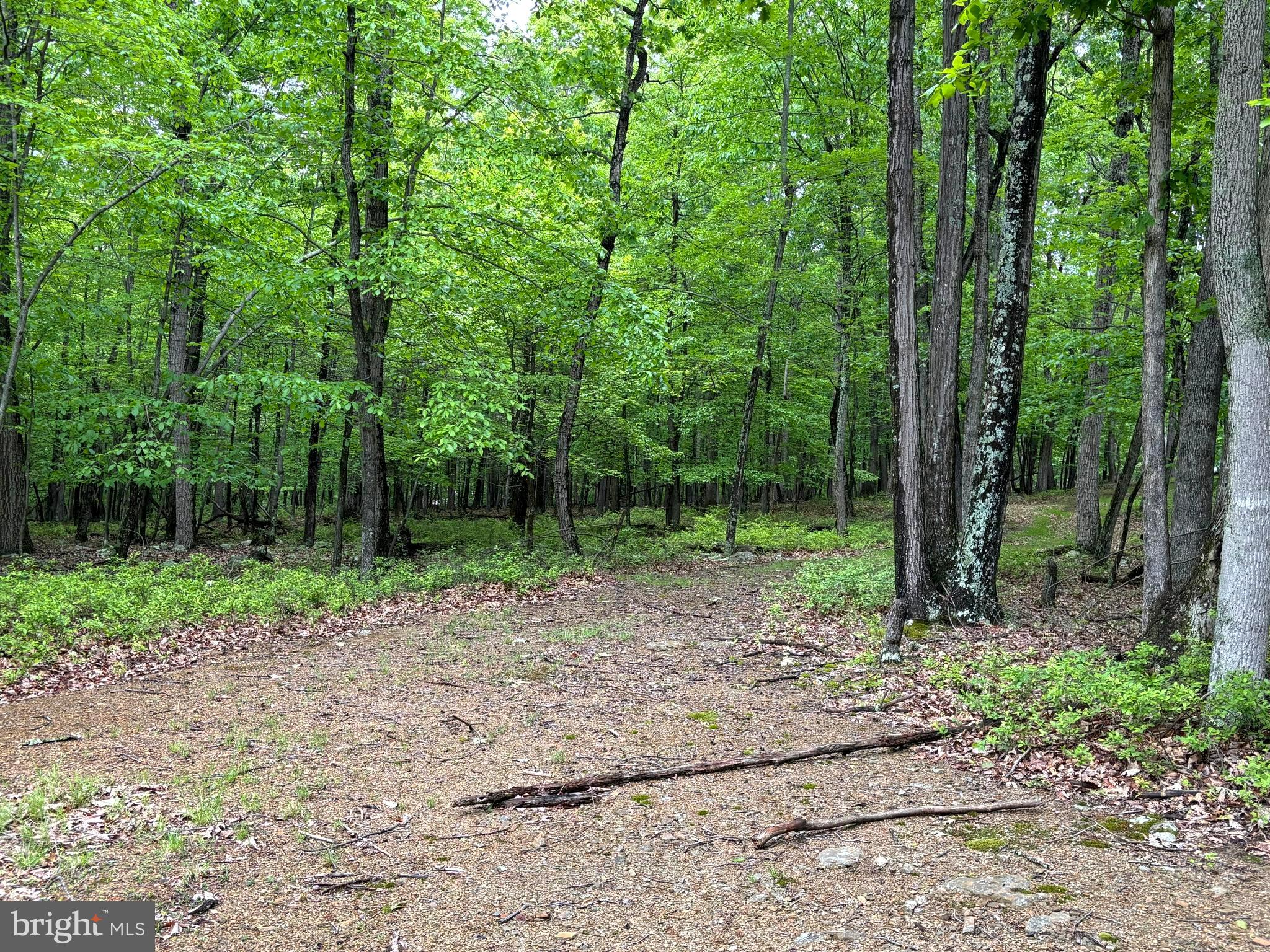 MEADOW HILLS ESTATES - Land