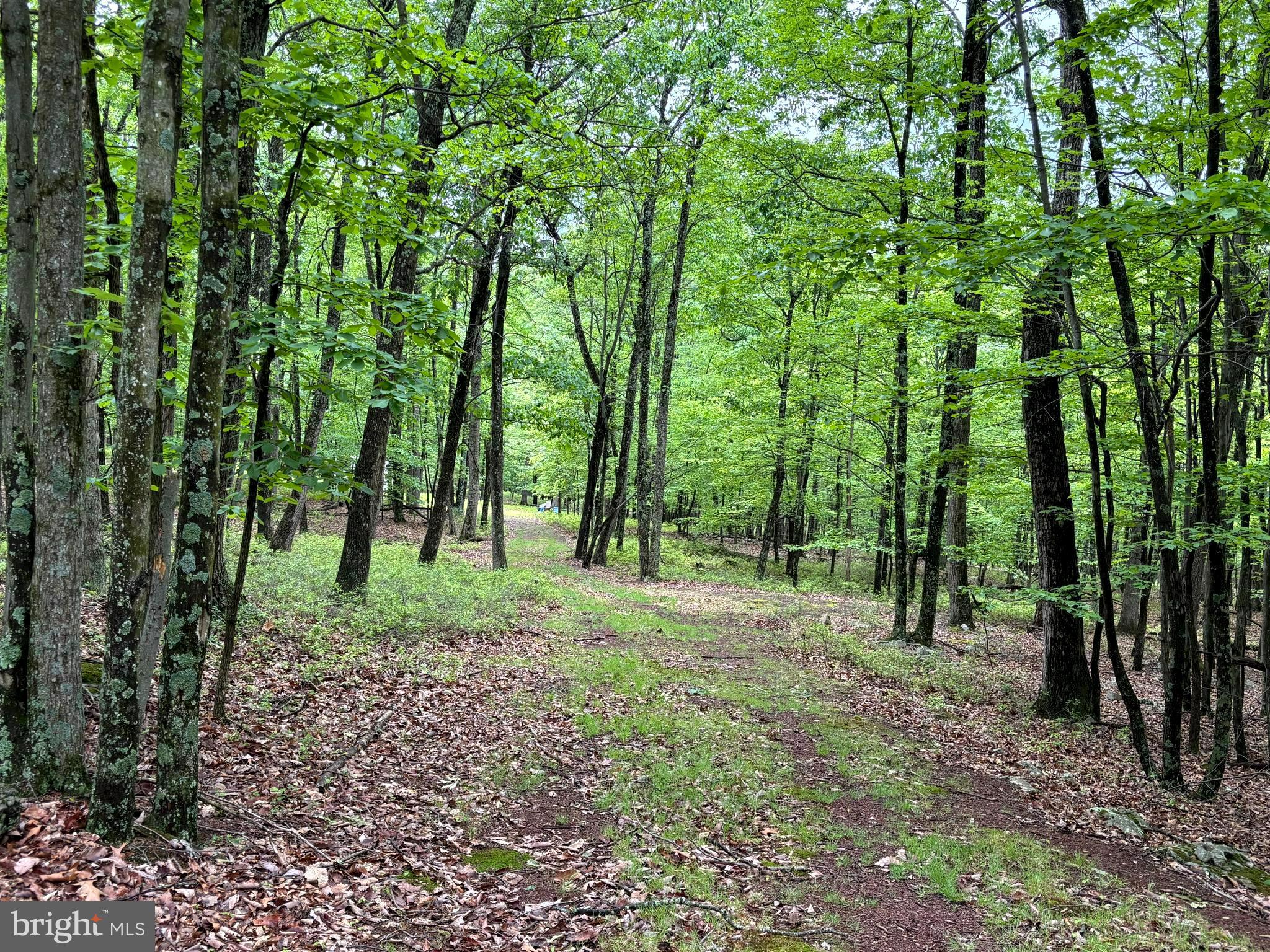 MEADOW HILLS ESTATES - Land