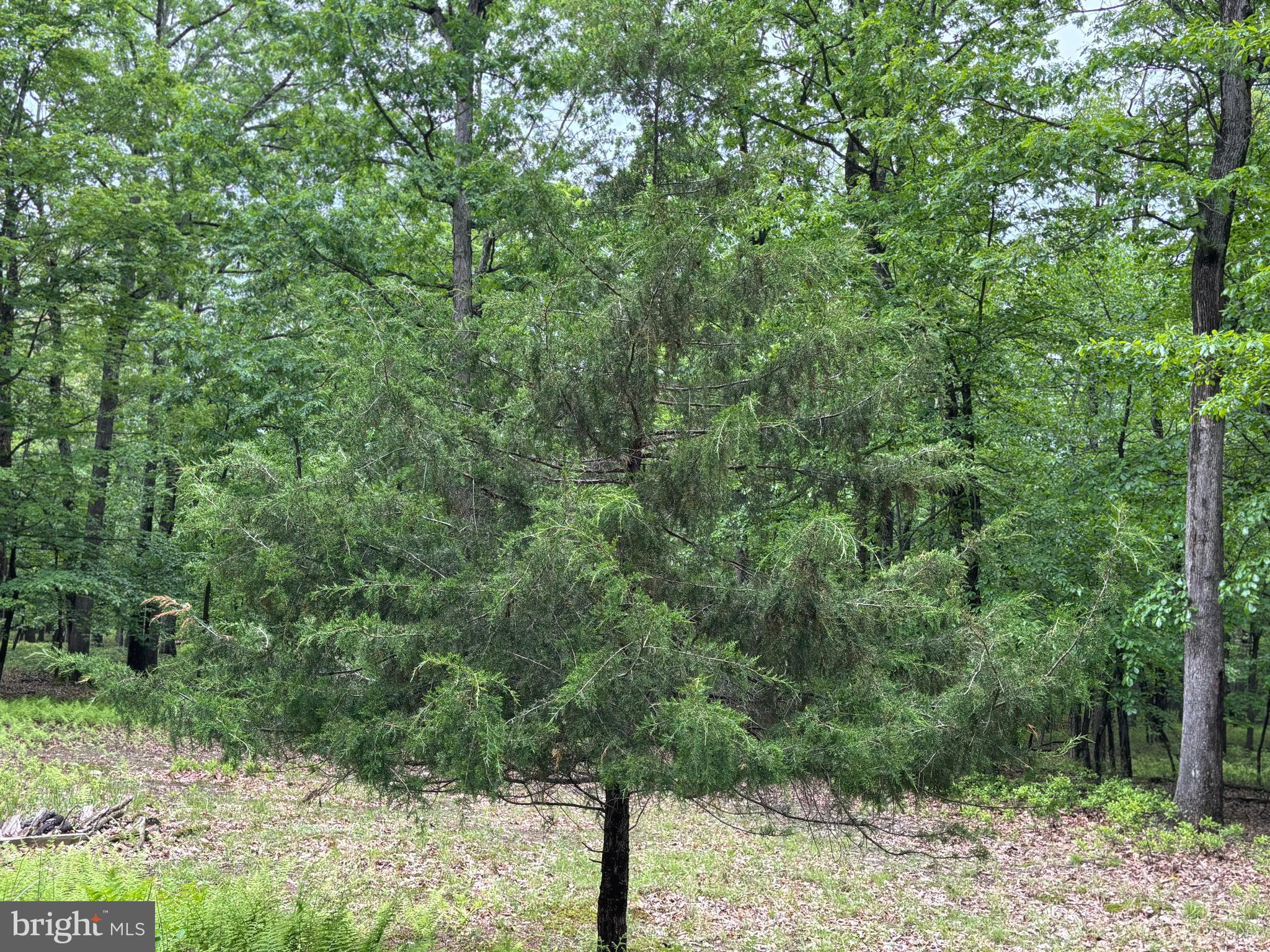 MEADOW HILLS ESTATES - Land