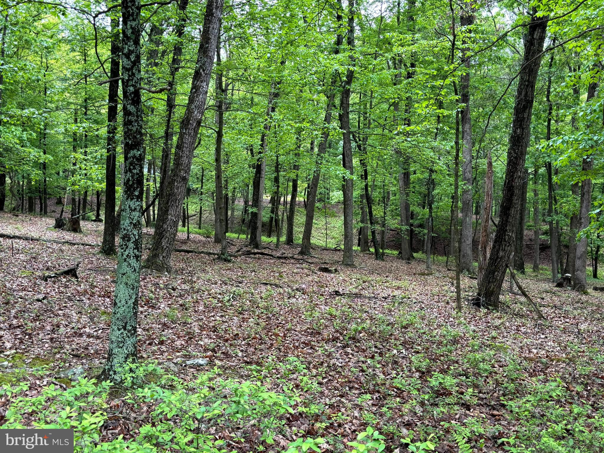 MEADOW HILLS ESTATES - Land