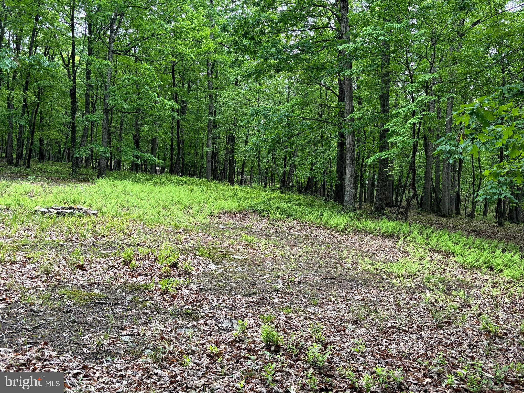 MEADOW HILLS ESTATES - Land