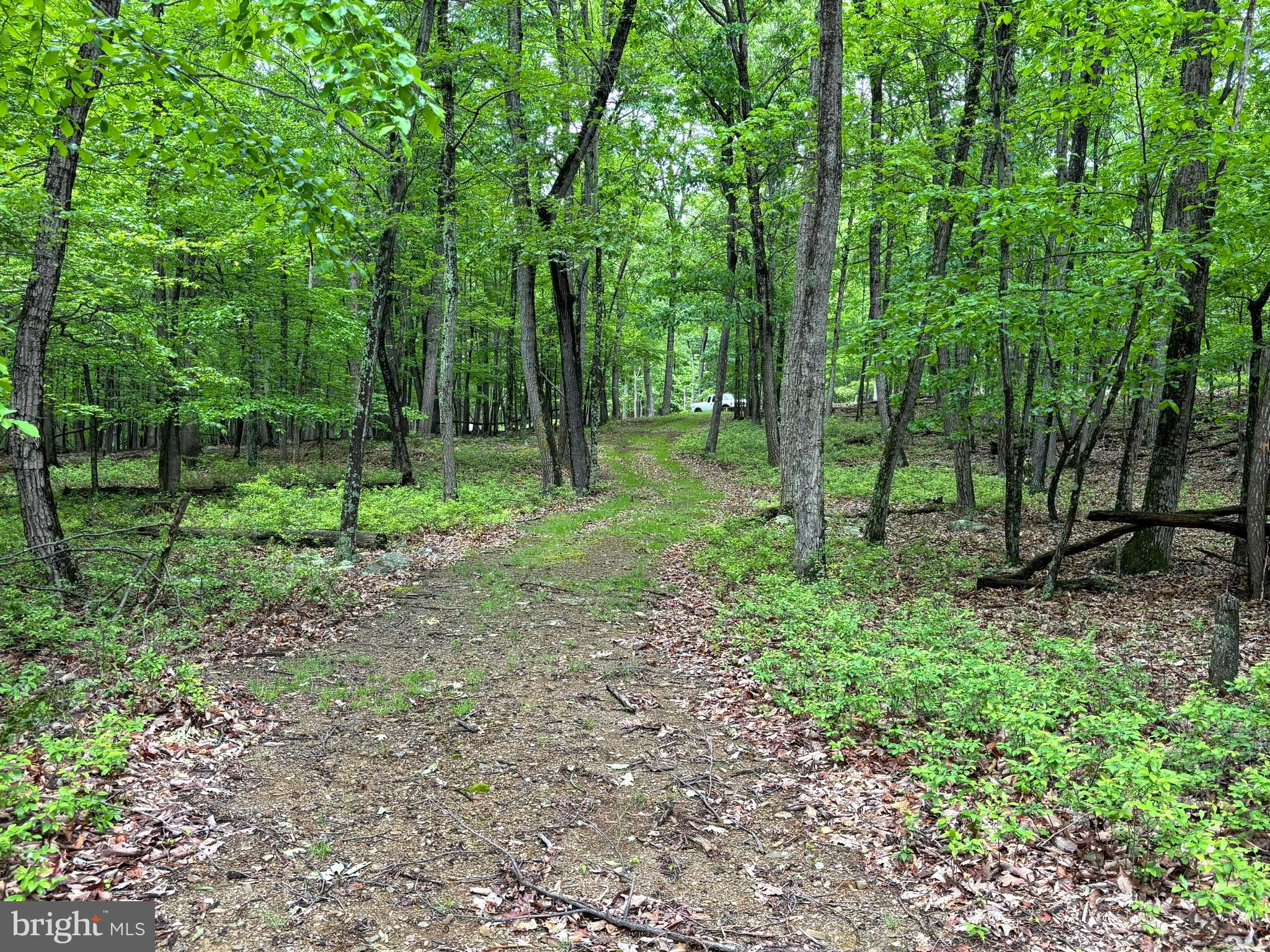 MEADOW HILLS ESTATES - Land